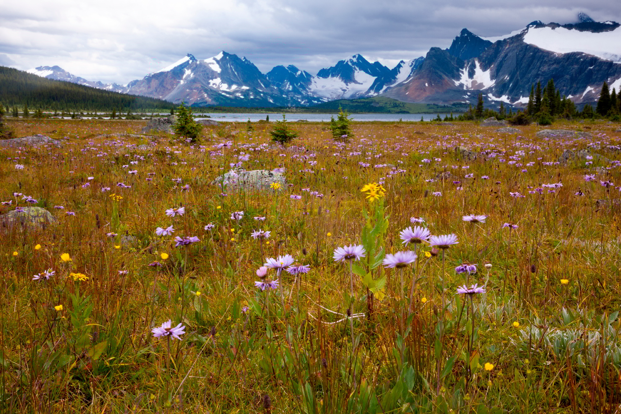 Jasper National Park, Alberta, Canada