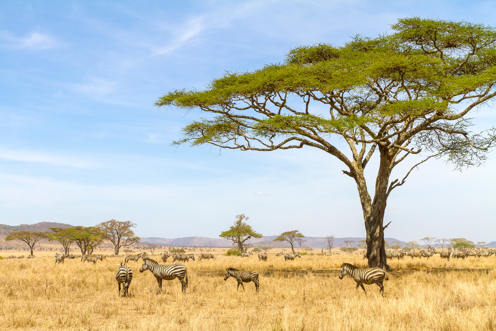 mieux vivre la Tanzanie