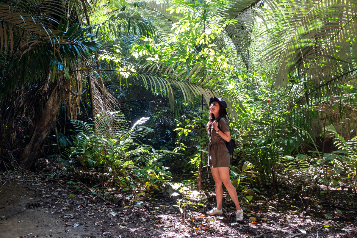 Daintree en Australie