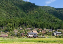 campagne japonaise