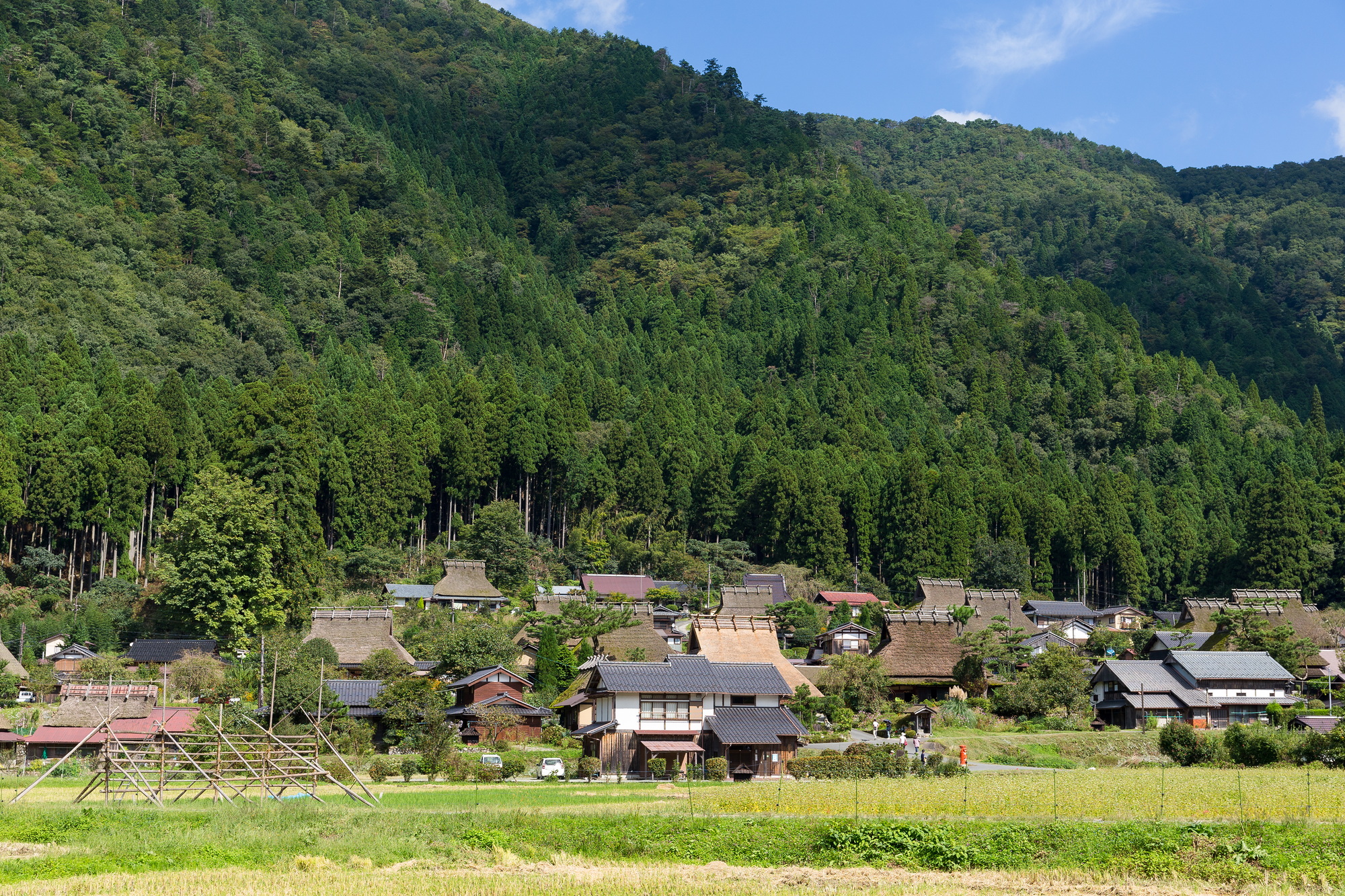 campagne japonaise