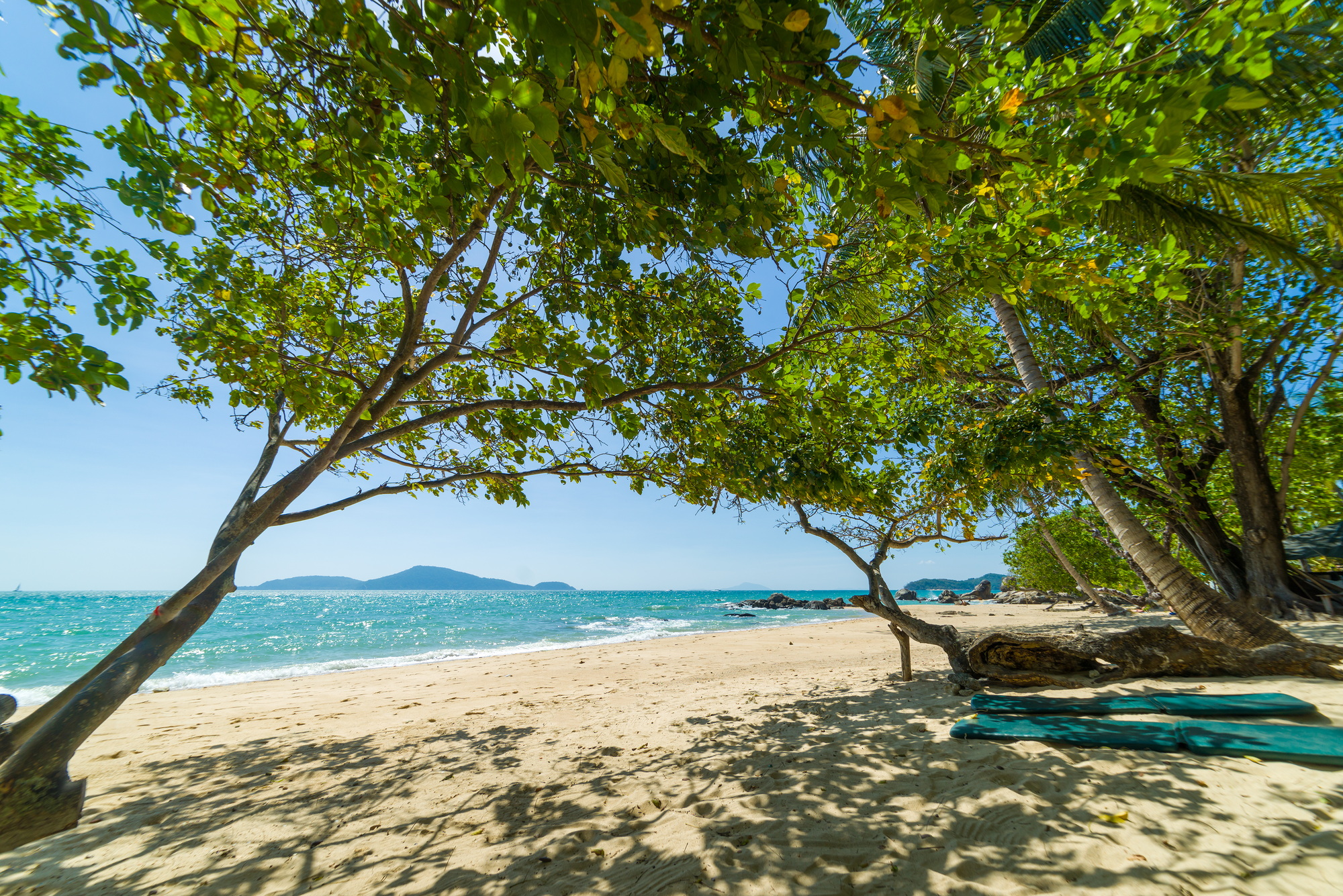 paradis tropical