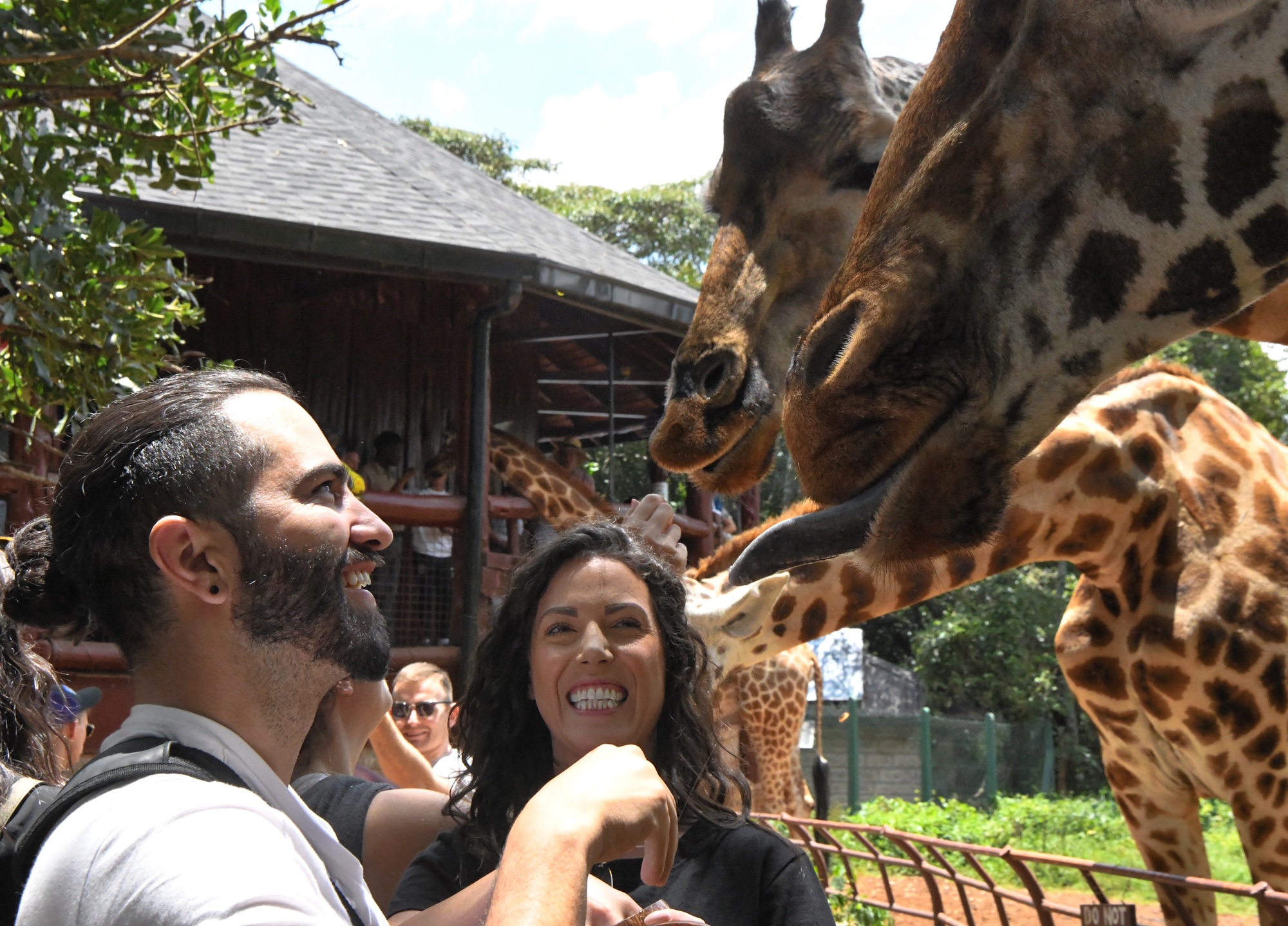 visite centre des girafes