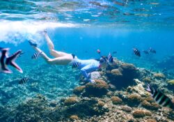 snorkeling madagascar