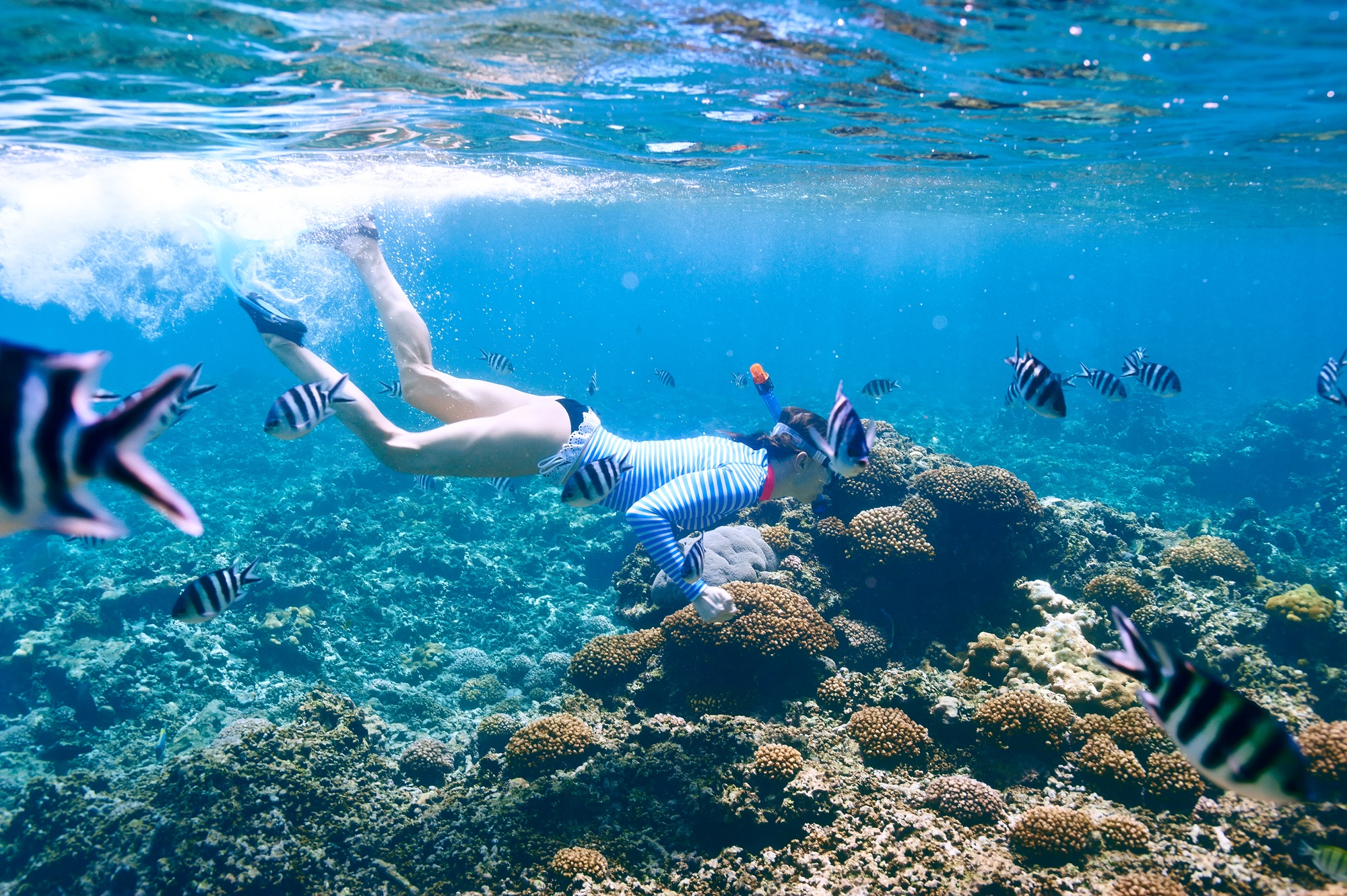 snorkeling madagascar