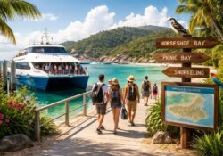 découvrez comment se rendre à magnetic island en australie avec nos astuces et conseils pratiques pour un voyage facile et agréable.