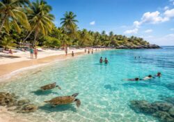 découvrez les meilleures plages d'akumal au mexique grâce à notre guide complet, parfait pour les visiteurs souhaitant profiter du sable fin, des eaux turquoise et des activités incontournables.