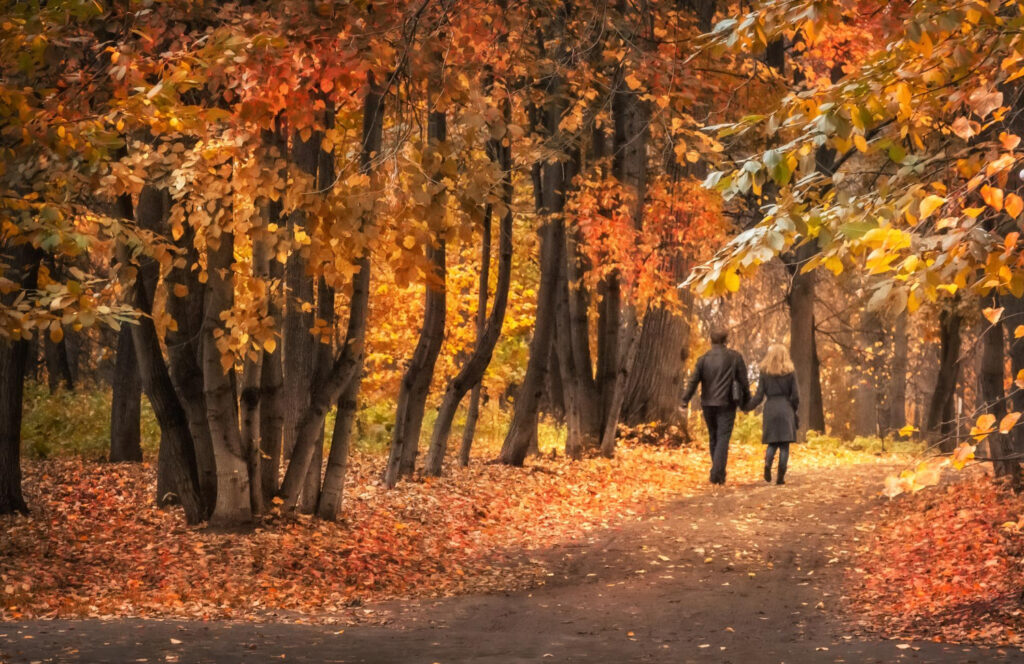 Un couple se promène dans une foret en automne.